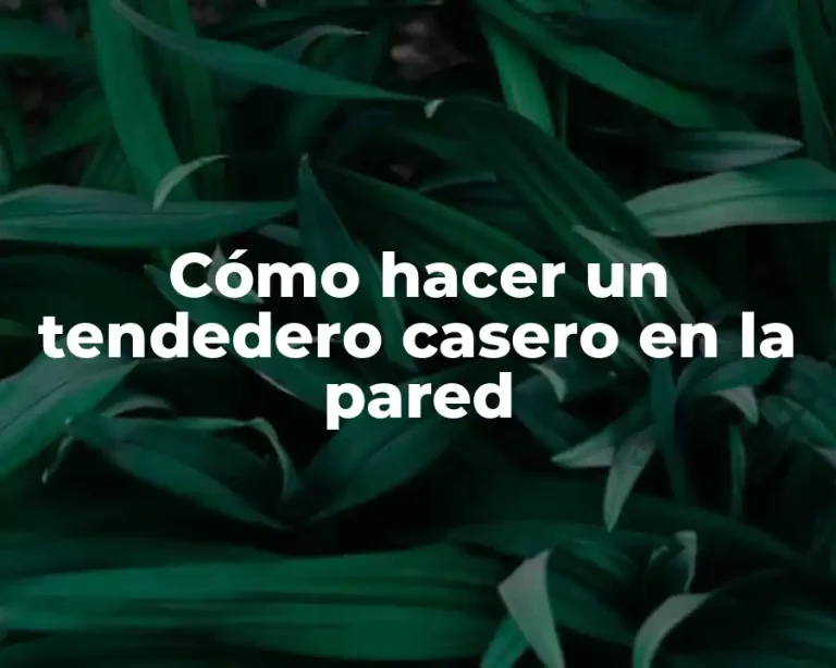Cómo hacer un tendedero casero en la pared