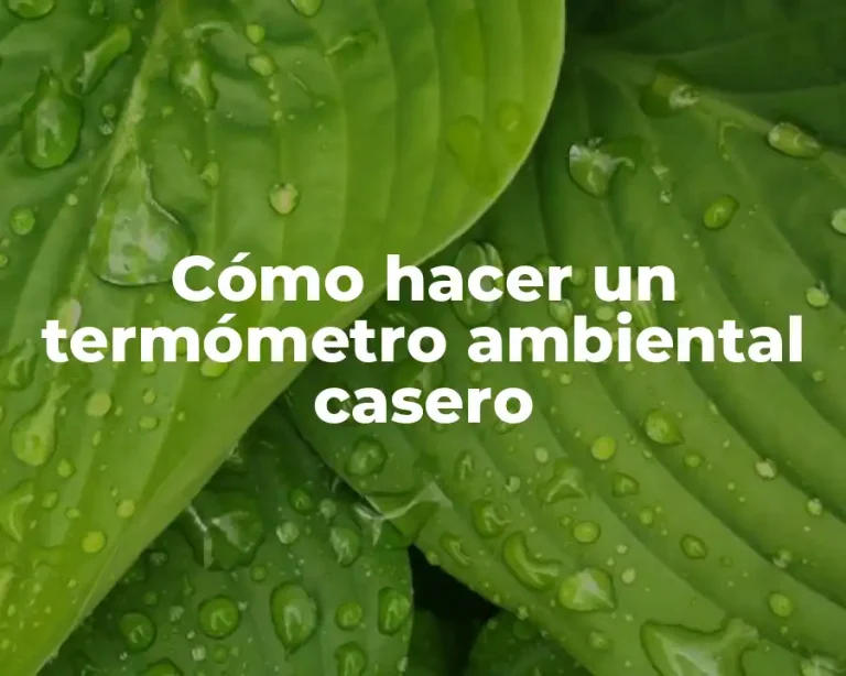 Cómo hacer un termómetro ambiental casero