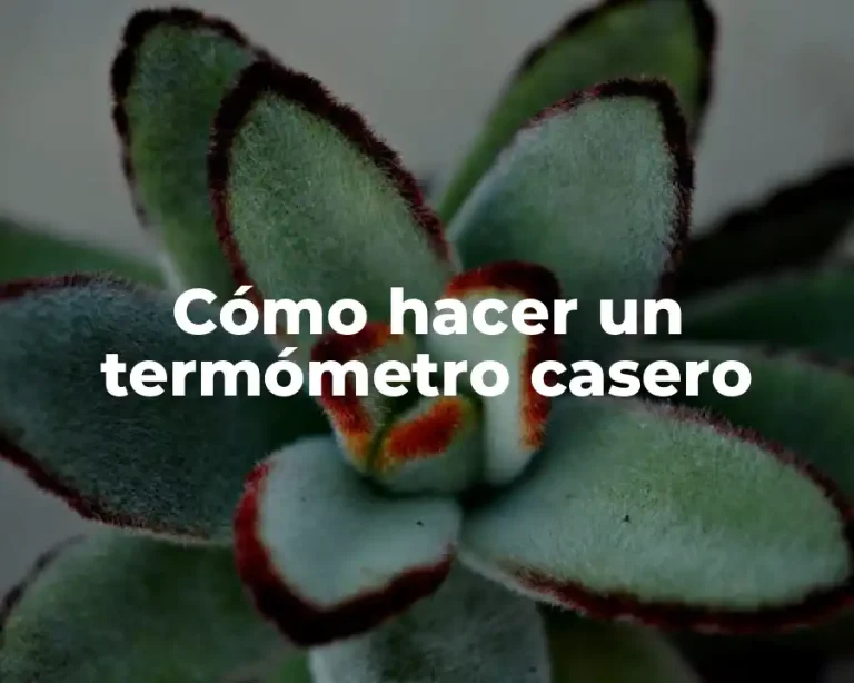 Cómo hacer un termómetro casero
