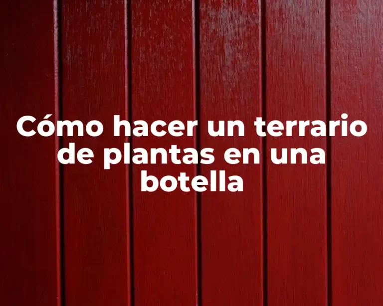 Cómo hacer un terrario de plantas en una botella