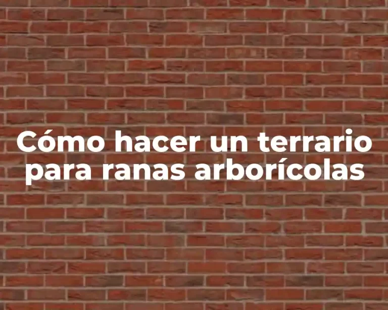 Cómo hacer un terrario para ranas arborícolas