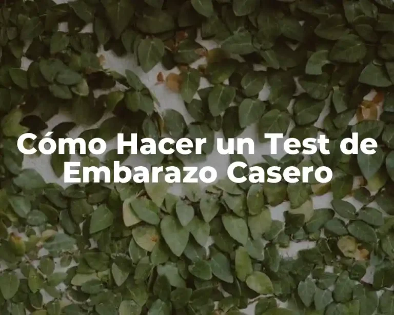 Cómo Hacer un Test de Embarazo Casero
