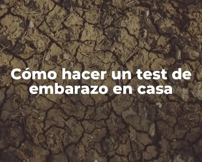 Cómo hacer un test de embarazo en casa