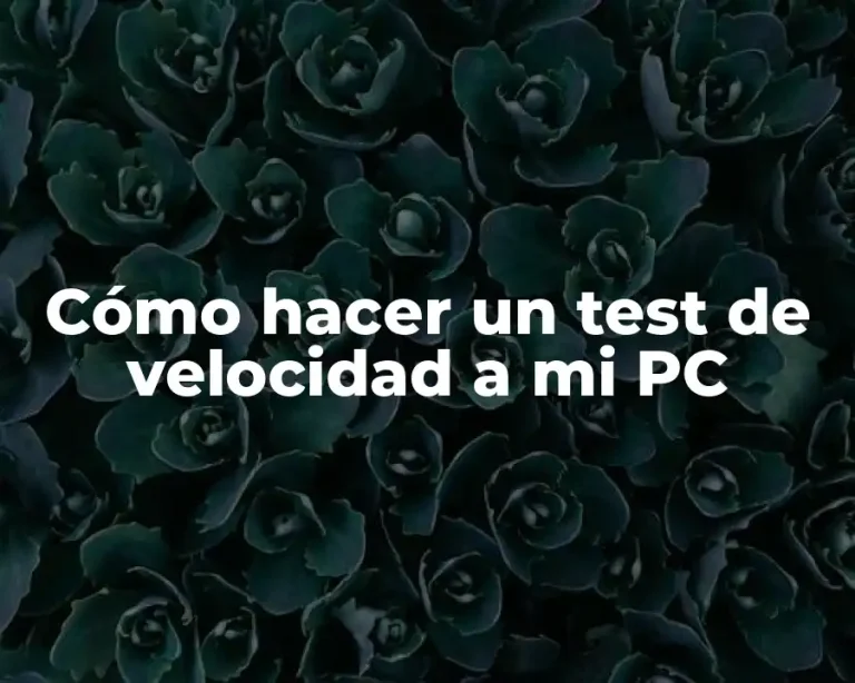 Cómo hacer un test de velocidad a mi PC