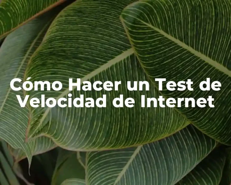 Cómo Hacer un Test de Velocidad de Internet