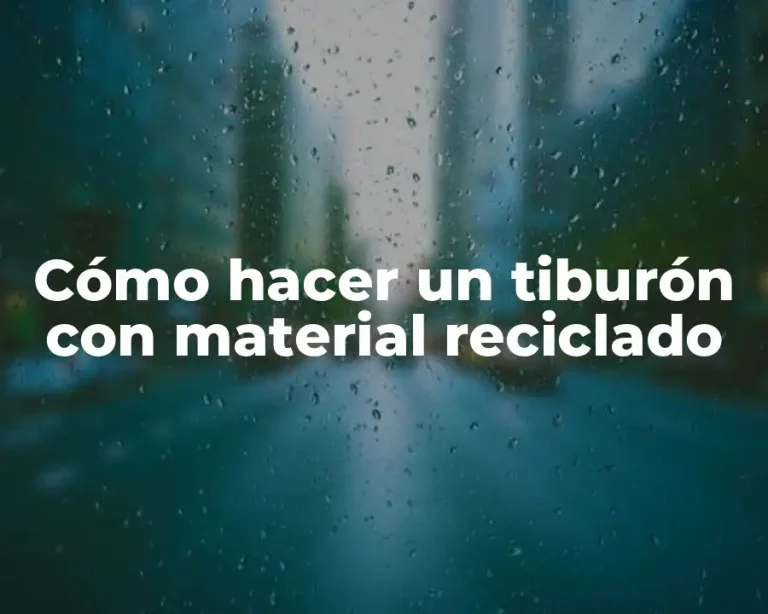 Cómo hacer un tiburón con material reciclado