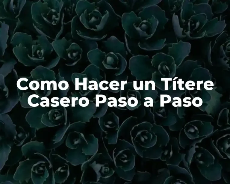 Como Hacer un Títere Casero Paso a Paso
