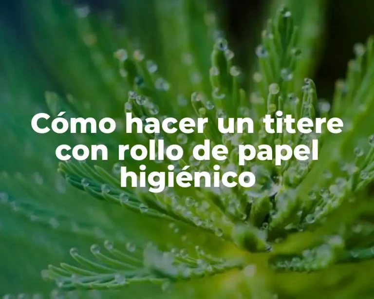 Cómo hacer un titere con rollo de papel higiénico