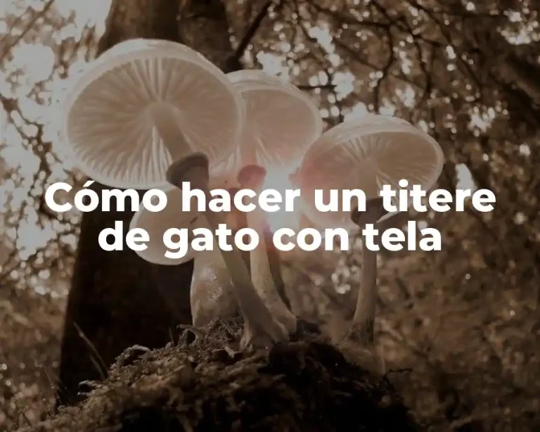 Cómo hacer un titere de gato con tela