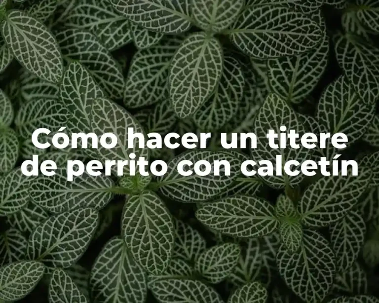 Cómo hacer un titere de perrito con calcetín