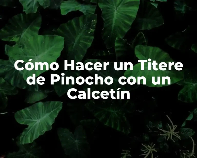 Cómo Hacer un Titere de Pinocho con un Calcetín