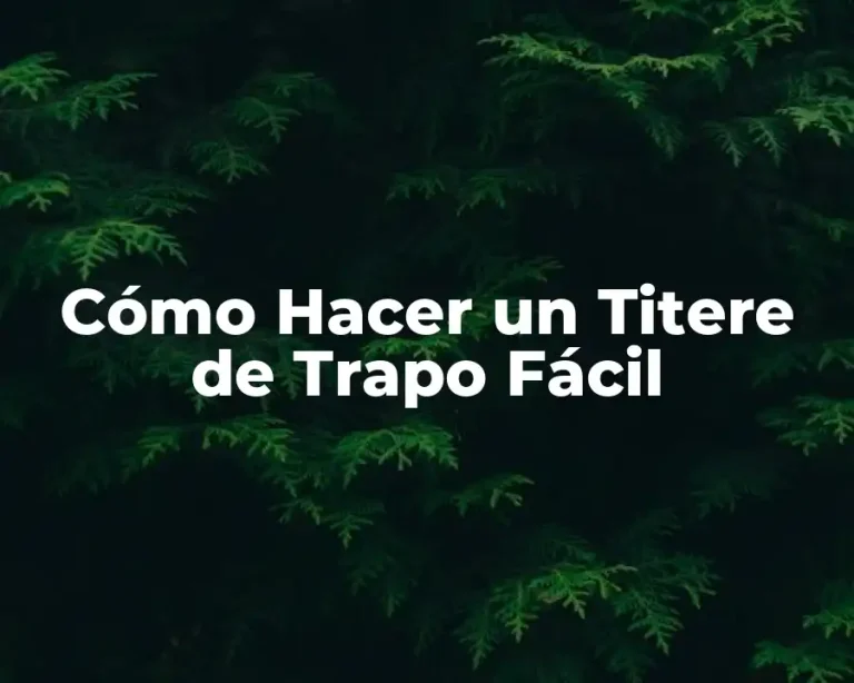 Cómo Hacer un Titere de Trapo Fácil