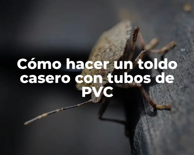 Cómo hacer un toldo casero con tubos de PVC