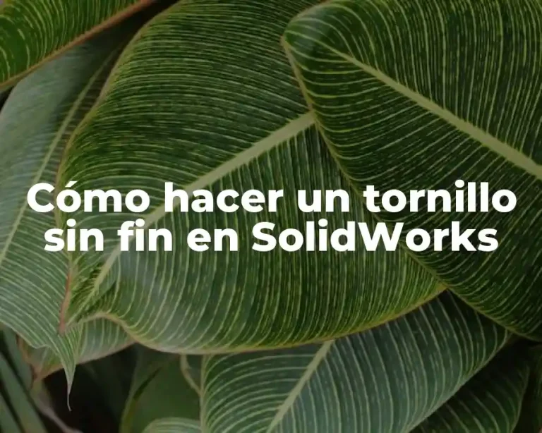 Cómo hacer un tornillo sin fin en SolidWorks