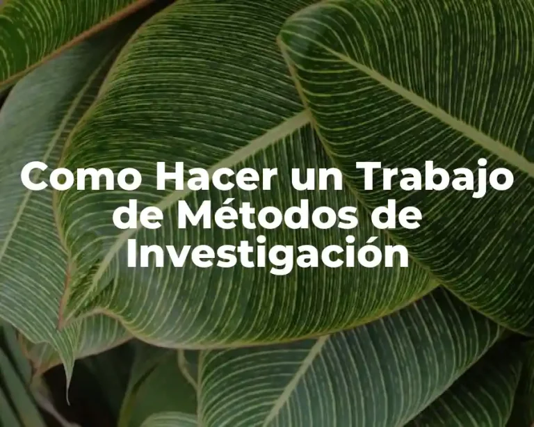 Como Hacer un Trabajo de Métodos de Investigación