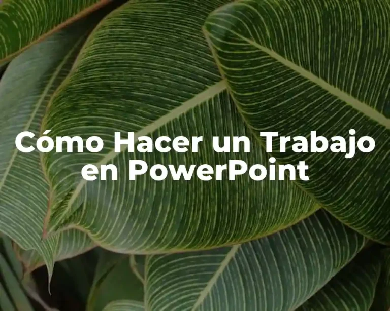 Cómo Hacer un Trabajo en PowerPoint