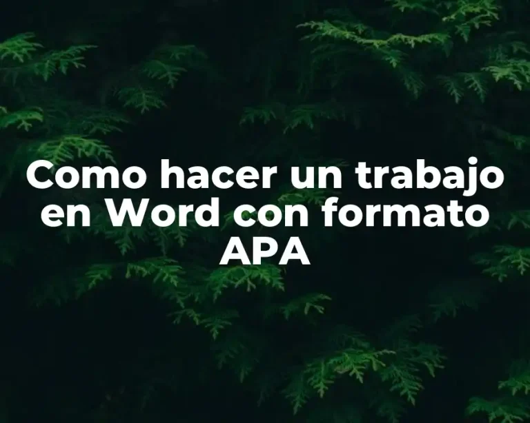 Como hacer un trabajo en Word con formato APA