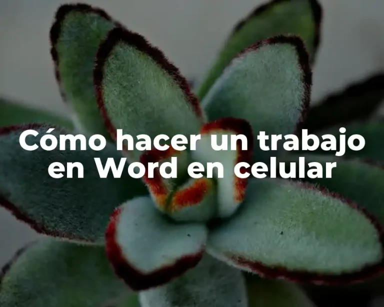 Cómo hacer un trabajo en Word en celular