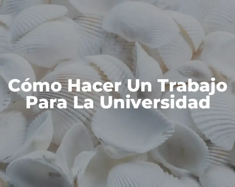 Cómo Hacer Un Trabajo Para La Universidad