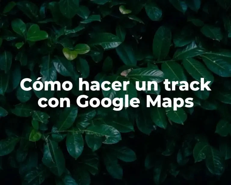 Cómo hacer un track con Google Maps