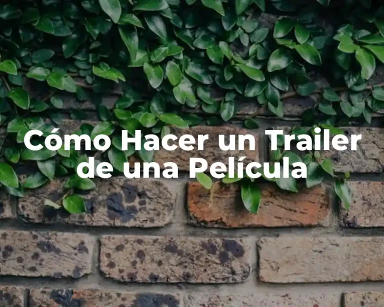 Cómo Hacer un Trailer de una Película