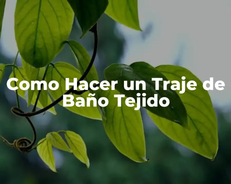 Como Hacer un Traje de Baño Tejido