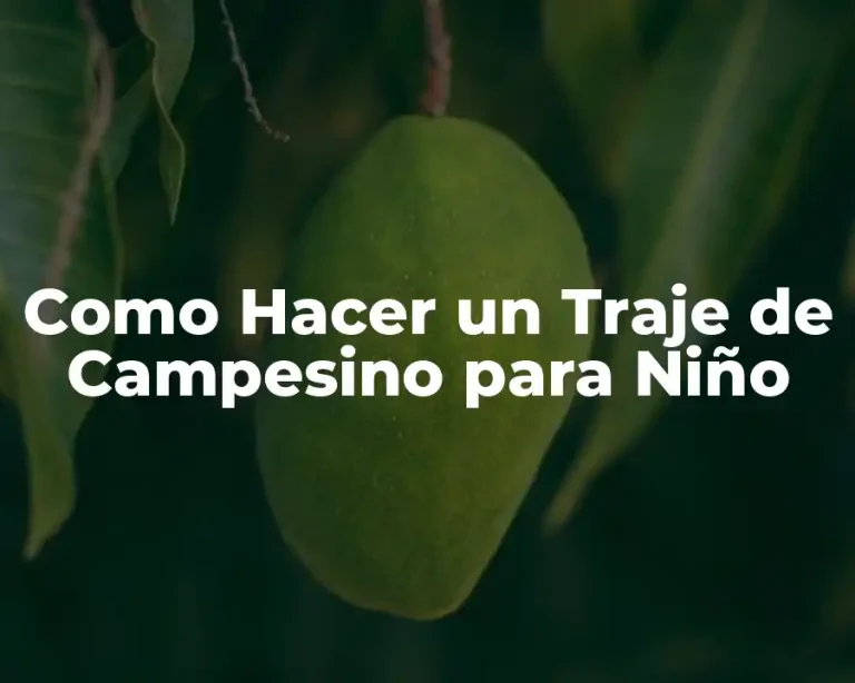 Como Hacer un Traje de Campesino para Niño