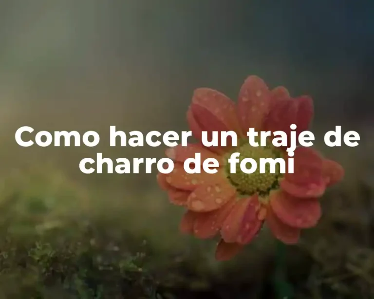 Como hacer un traje de charro de fomi