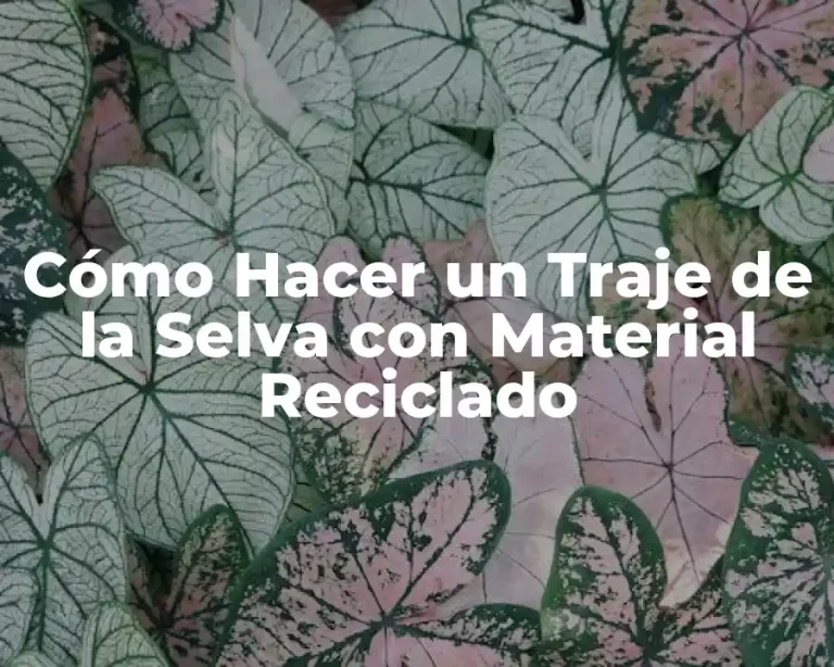 Cómo Hacer un Traje de la Selva con Material Reciclado