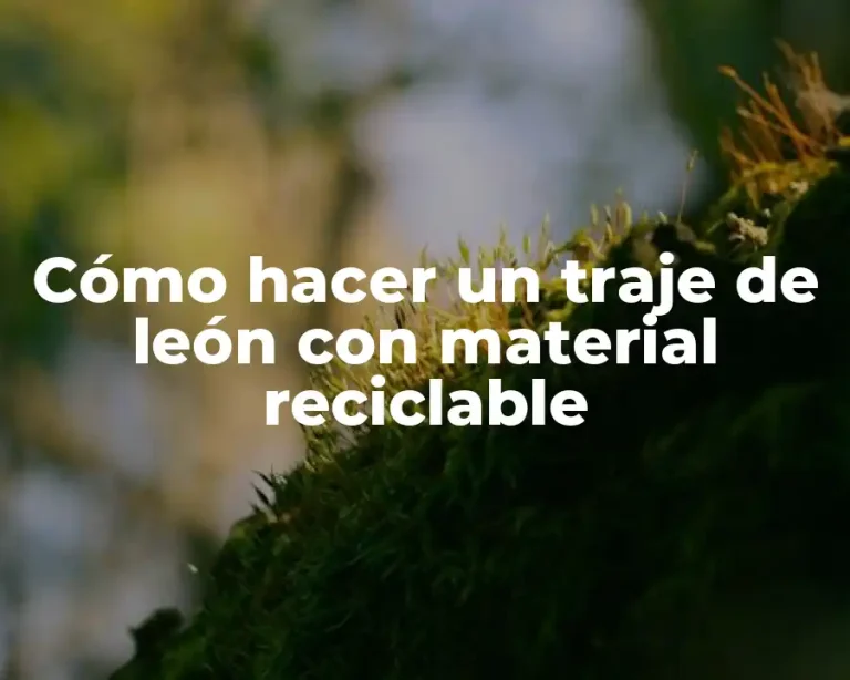 Cómo hacer un traje de león con material reciclable