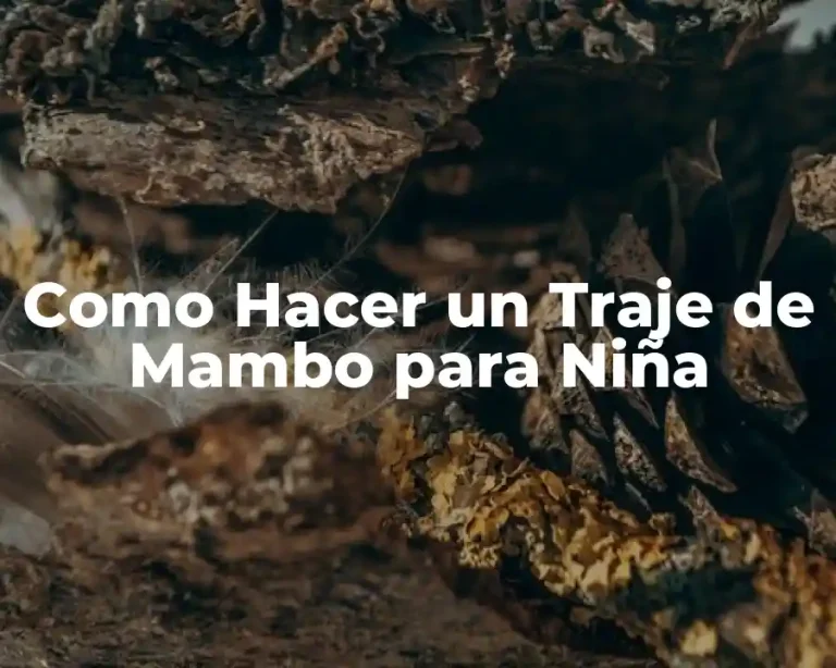 Como Hacer un Traje de Mambo para Niña