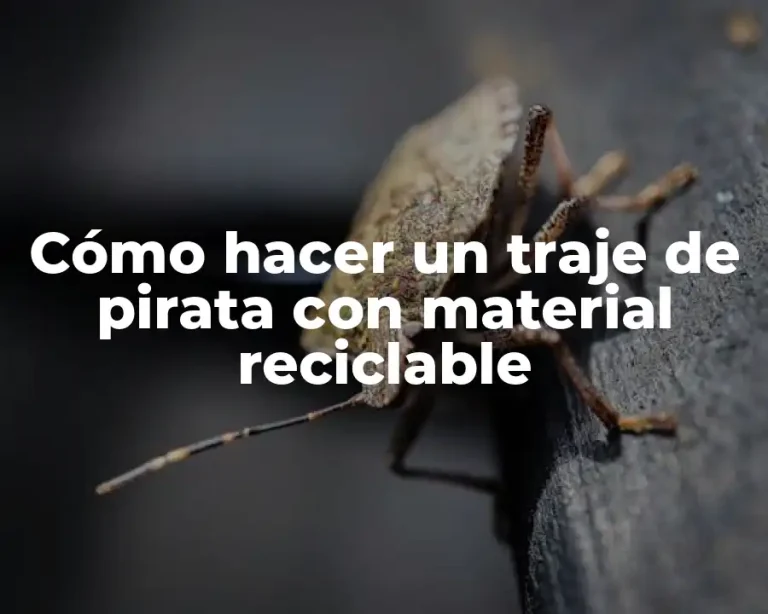 Cómo hacer un traje de pirata con material reciclable