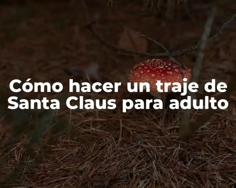 Cómo hacer un traje de Santa Claus para adulto