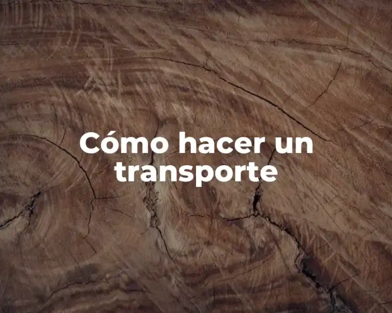Cómo hacer un transporte