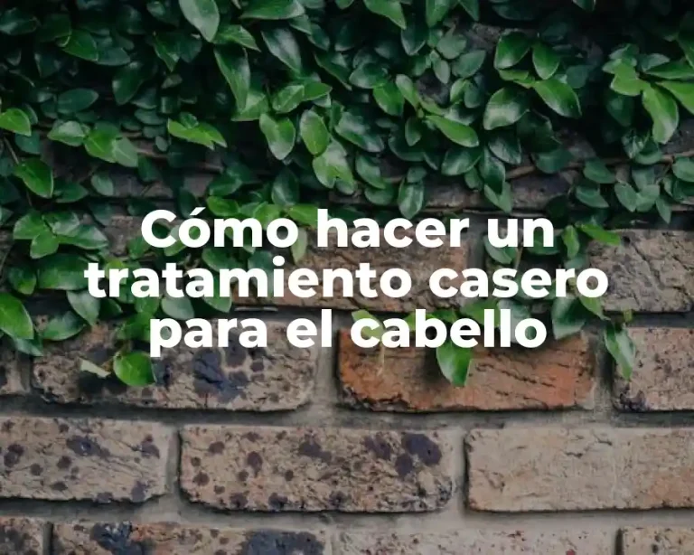 Cómo hacer un tratamiento casero para el cabello