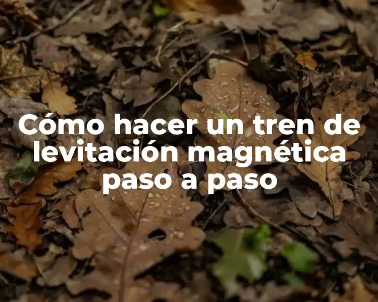 Cómo hacer un tren de levitación magnética paso a paso