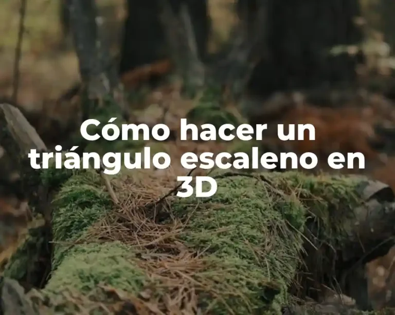 Cómo hacer un triángulo escaleno en 3D