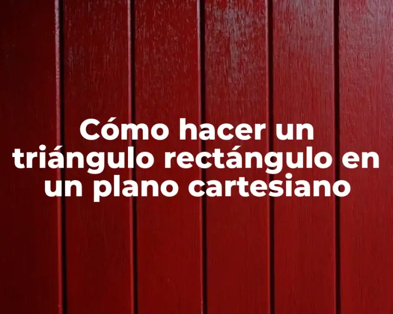 Cómo hacer un triángulo rectángulo en un plano cartesiano