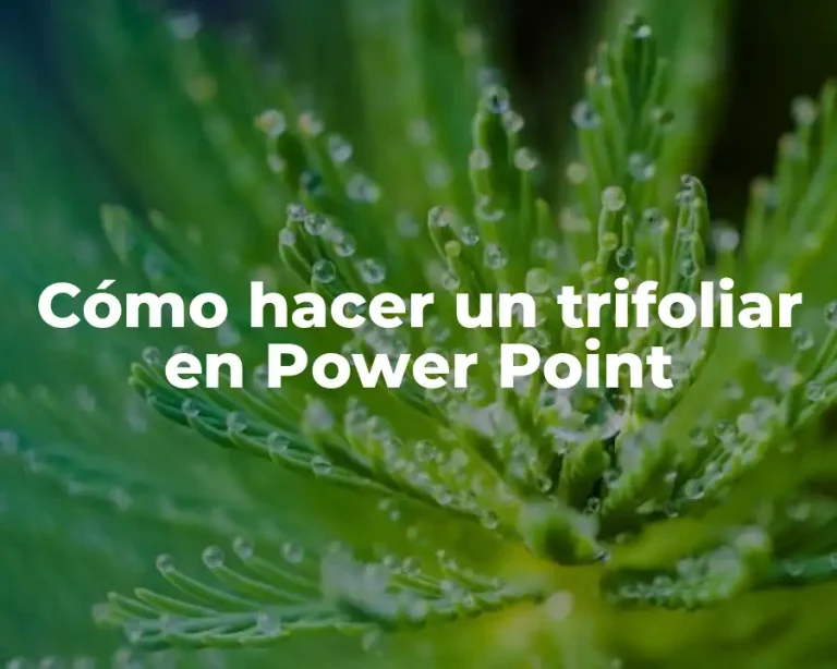 Cómo hacer un trifoliar en Power Point