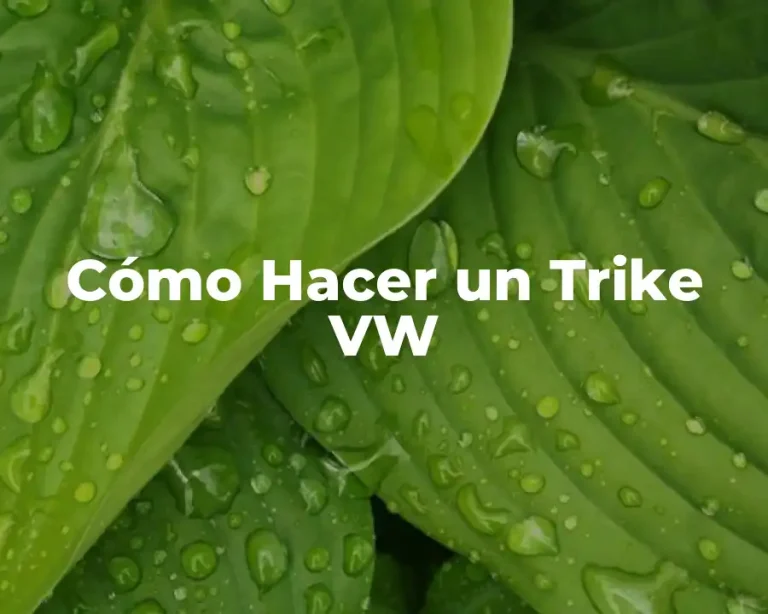 Cómo Hacer un Trike VW