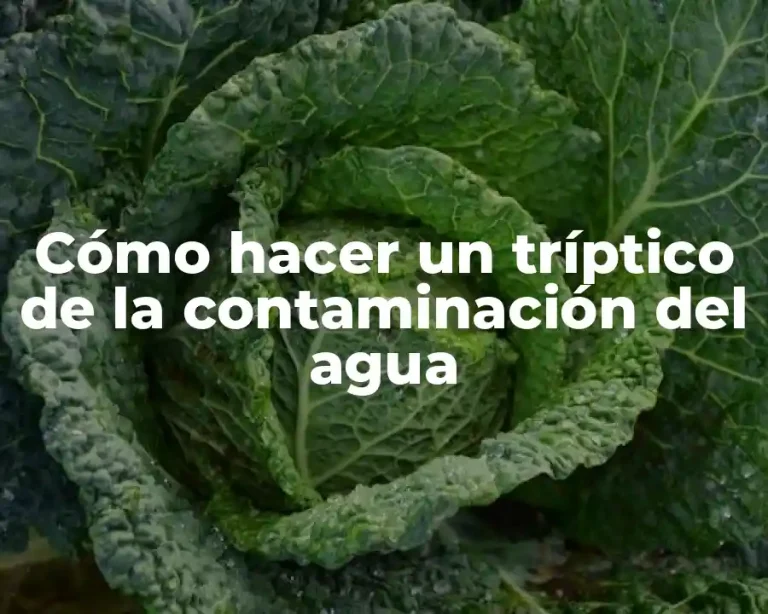 Cómo hacer un tríptico de la contaminación del agua