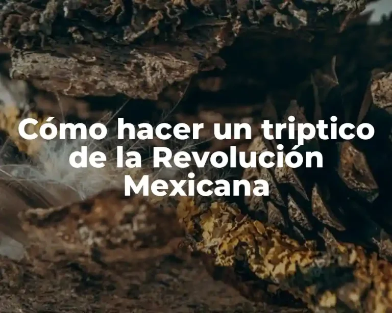 Cómo hacer un triptico de la Revolución Mexicana