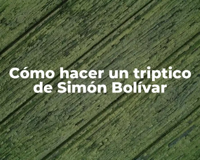 Cómo hacer un triptico de Simón Bolívar