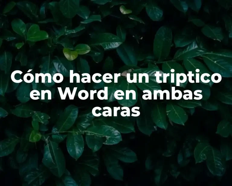 Cómo hacer un triptico en Word en ambas caras