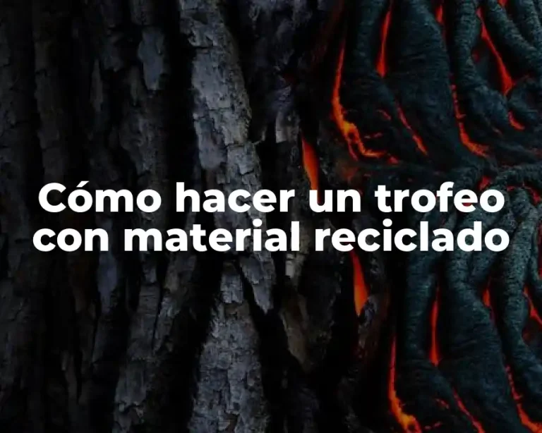 Cómo hacer un trofeo con material reciclado