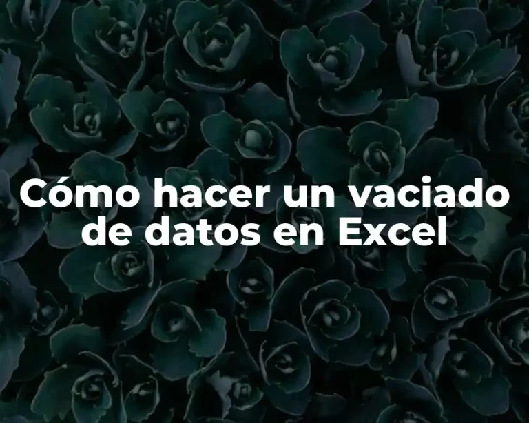 Cómo hacer un vaciado de datos en Excel