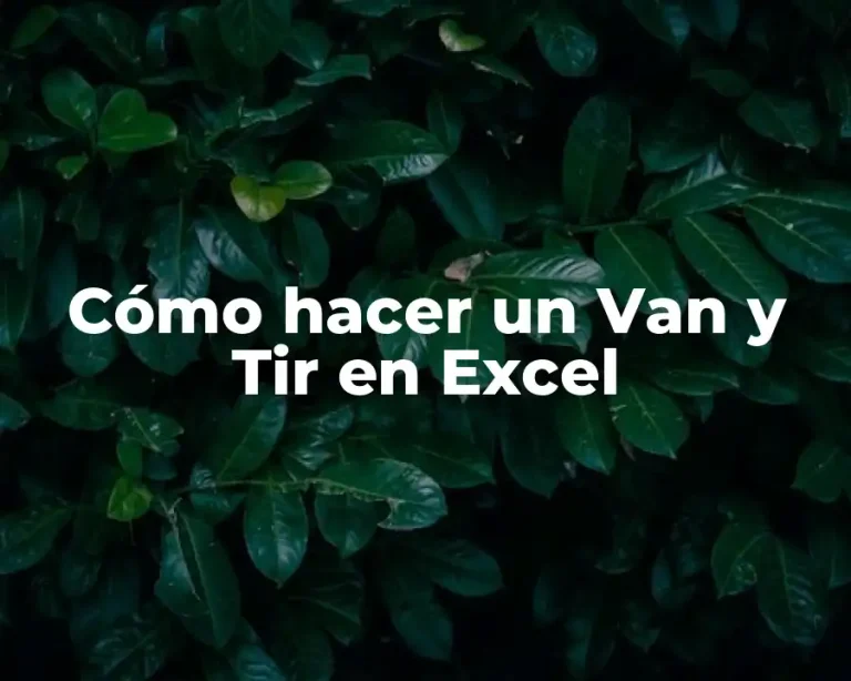 Cómo hacer un Van y Tir en Excel