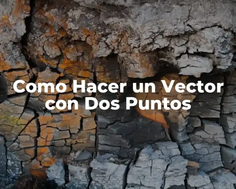Como Hacer un Vector con Dos Puntos