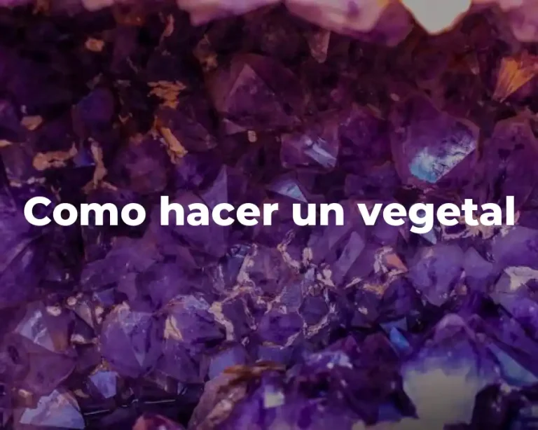 Como hacer un vegetal
