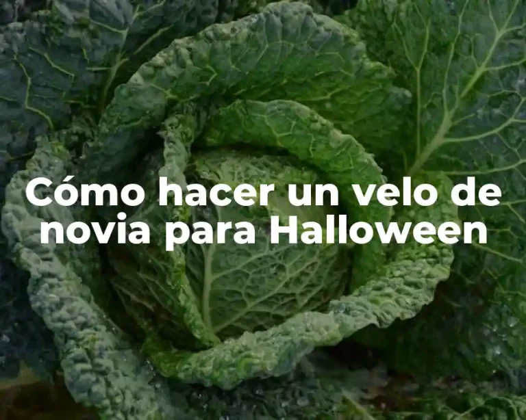 Cómo hacer un velo de novia para Halloween